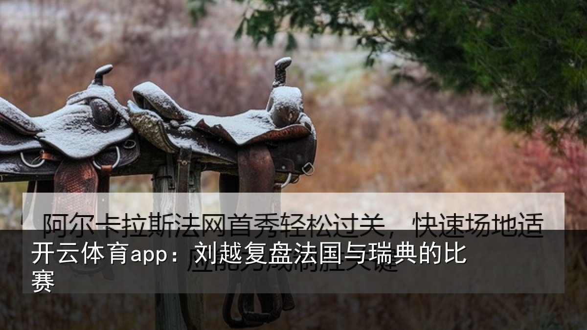 开云体育app：刘越复盘法国与瑞典的比赛