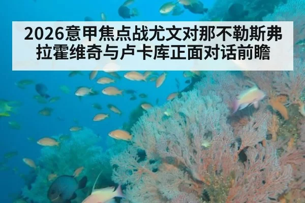 2026意甲焦点战尤文对那不勒斯弗拉霍维奇与卢卡库正面对话前瞻